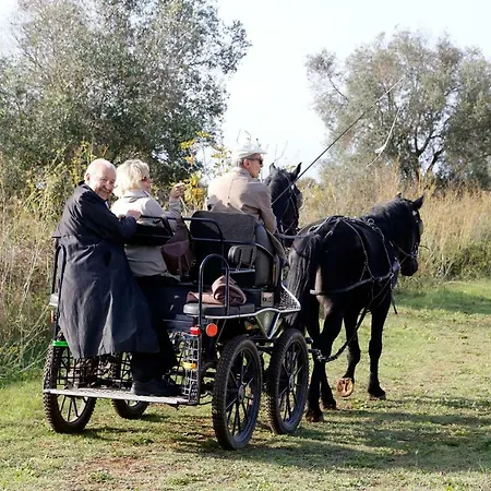 Masseria Piarmi Country house *
